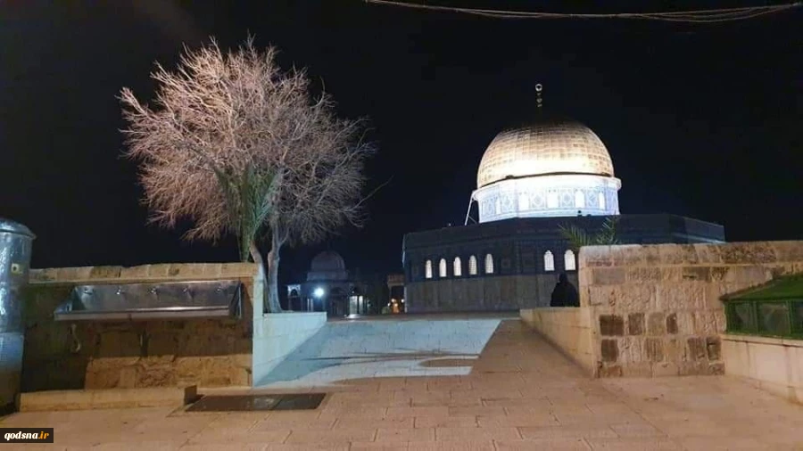 چند  خبر کوتاه از فلسطین/

تعویق مذاکرات فتح و حماس در قاهره/ سفر هیات جنبش جهاد به مسکو/ مسجدالاقصی به روی مسلمانان بسته شد (تصاویر) 4