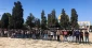 نماز جمعه مسجدالاقصی با حضور 20 هزار فلسطینی برگزار شد