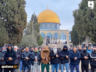 شرکت 23 هزار فلسطینی در نماز جمعه مسجدالاقصی/ سه فلسطینی در حمله نظامیان صهیونیست به روستای بیت دجن زخمی شدند
 2