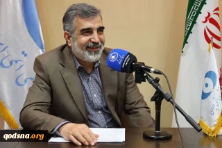 امسال ۴۰ تن کیک زرد تولید می‌کنیم