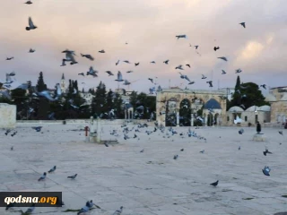 تصاویری از حال و هوای صبح امروز مسجدالاقصی از لنز دوربین عکاس فلسطینی