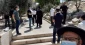 264  مستوطنًا يقتحمون المسجد الأقصى