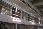 Solitary confinement in an Israeli prison means being held in a dark, narrow and dirty cell that is damp and has mould on its walls.