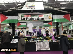 ۱۲ نهاد بین المللی حامی فلسطین