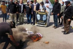 النجباء يرفعون اعلام الدفاع عن فلسطين في كل انحاء العراق 4