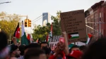 Thousands in US protest Israeli attacks in Palestine 2