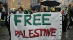 International solidarity with Palestine continues after truce 2