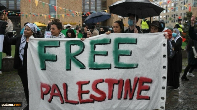 International solidarity with Palestine continues after truce 2