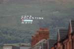 Belfast City Council backs expulsion of Israeli ambassadors over apartheid 2