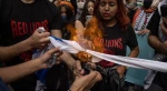 Pro-Palestinian protesters burn Israeli flag in New York 3