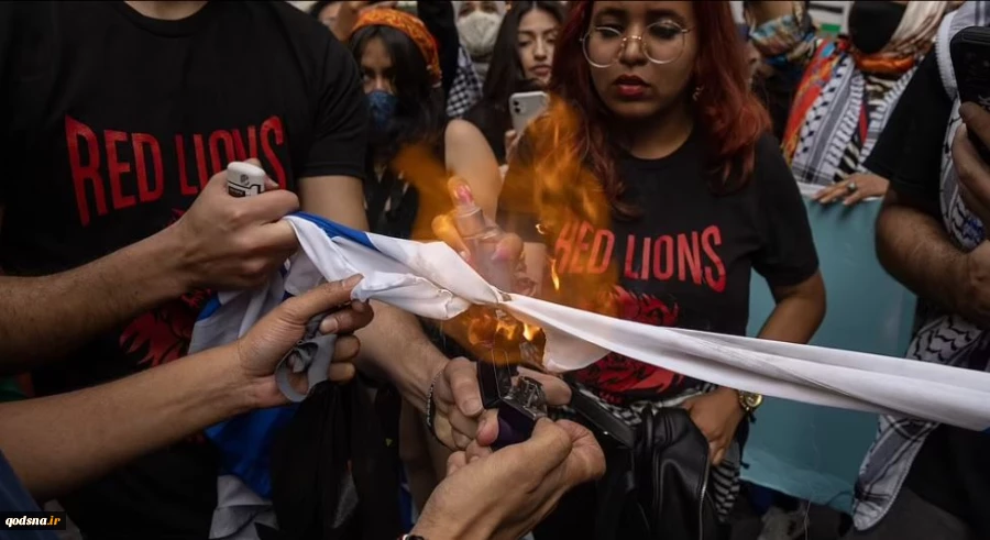 Pro-Palestinian protesters burn Israeli flag in New York 3