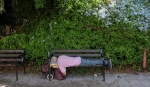 Number of Israeli homeless grew 27 percent last year  2