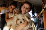 Pet exhibition held in Gaza City, Palestine
 2