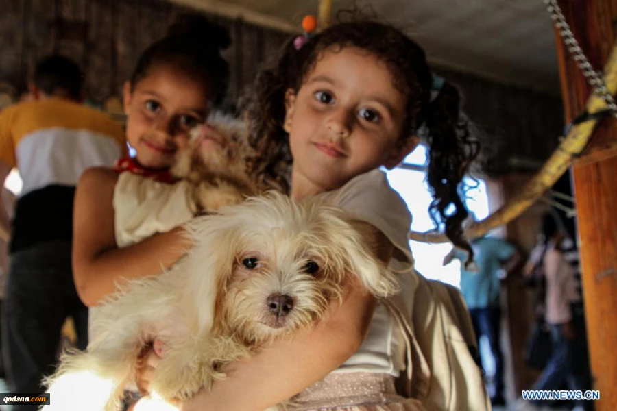 Pet exhibition held in Gaza City, Palestine
 2
