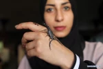 Pet exhibition held in Gaza City, Palestine
 6
