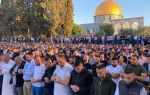 خطيب الأقصى يدعو لحماية العقارات من التسريب للاحتلال 2