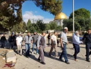 قدس و کرانه باختری روی خط آتش؛

تصاویری از درگیری های شدید روزهای اخیر میان فلسطینی ها و نظامیان صهیونیست 5