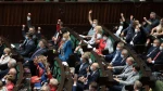 Poland parliament passes law to curb WWII property claims
 2
