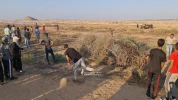 إصابات بالرصاص وقنابل الغاز بقمع الاحتلال لمهرجان سيف القدس لن يُغمد شرق خانيونس 3
