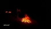 حضور گسترده جوانان در راهپیمایی خشم شب دراطراف غزه 6