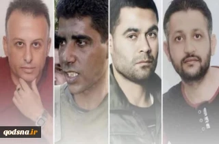 ضمن محکوم نمودن جنایات صهیونیست‎ها؛

تجمع همبستگی با اسرای فلسطینی در آمریکا و سوئد برگزار شد