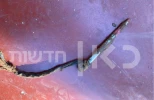 الصور الأولى لأدوات الحفر التي استخدمها الأسرى الفلسطينيون للهروب من سجن جلبوع 3