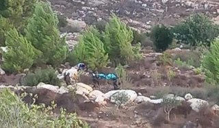 شهداء باشتباكات عنيفة بين مقاومين فلسطينيين وجيش العدو في الضفة