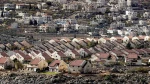 12 EU states urges Israel to halt construction of 3,000 settler units in WB