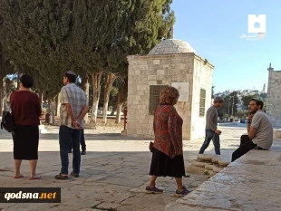 تعرض شهرک‌نشینان به مسجد الاقصی تحت حمایت پلیس رژیم صهیونیستی (تصاویر) 3