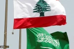 Exclusive note from Canadian political expert Eric Wahlberg;

Lebanon in Saudi and Israeli crosshairs 2