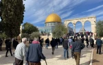 50 ألفا يؤدون الجمعة في المسجد الأقصى المبارك 2