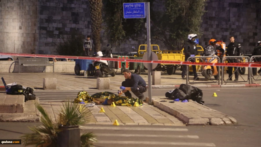 OHCHR 'shocked' by Israel's killing of Palestinian man in Jerusalem 2