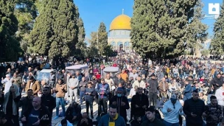 مشارکت گسترده 60 هزار فلسطینی در نماز جمعه این هفته مسجد الاقصی+ عکس