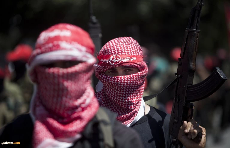 Hamas 'seizes Israeli spy dolphin' off Gaza
 2