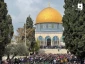 نماز جمعه مسجدالاقصی با وجود محدودیت ها با مشارکت 50 هزار نمازگزار برگزار شد(تصاویر)