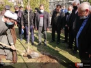 مراسم « نهال مقاومت؛ کاشت تهران، برداشت قدس» برگزار شد 4