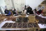 تولید و بسته بندی خرما برای ماه مبارک رمضان در غزه 2