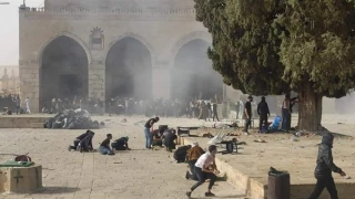 المتطرفون ينفذون الاقتحامات على مرأى العالم.. وقوات الاحتلال تحاصر وتعربد وتصيب 17 مقدسياً بينهم 3 خطيرة