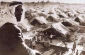 74 عاما علي النكبة 
والمقاومة مستمرة