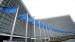 Israel bans member of European Parliament from visiting Palestine
 2