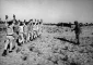 هزيمة حزيران ودور الزعماء 
العرب