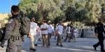 مستوطنون يقتحمون الأقصى ومنظمات “الهيكل” تدعو لإدخال “القرابين” للمسجد 2