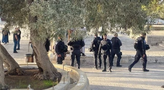متطرفون يقتحمون باحات المسجد الأقصى على شكل جماعات وسط تصدي من المرابطين