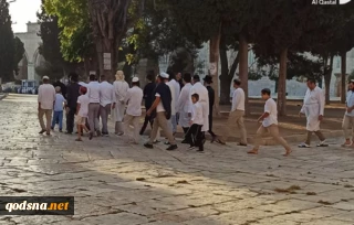 في اليوم الثاني لما يسمي "بعيد العرش"

اقتحامات كبيرة لباحات المسجد الأقصى بعد دعوات لتنفيذ أكبر اقتحام اليوم منذ الـ67