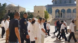 Alaqsa