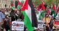 Pro-Palestine rally in New York