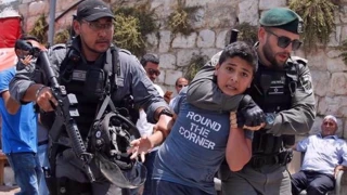 Zionist troops have martyred nine Palestinian children this year