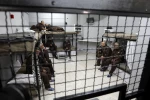 Muhjat Al-Quds: Prisoner Iyad Jaradat beaten in Rimonim prison cells 2