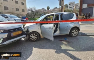 ‘Natural reaction to Israeli crimes’: Two settlers killed in West Bank shooting