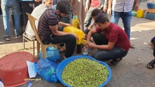 بازار زیتون در جنوب نوار غزه